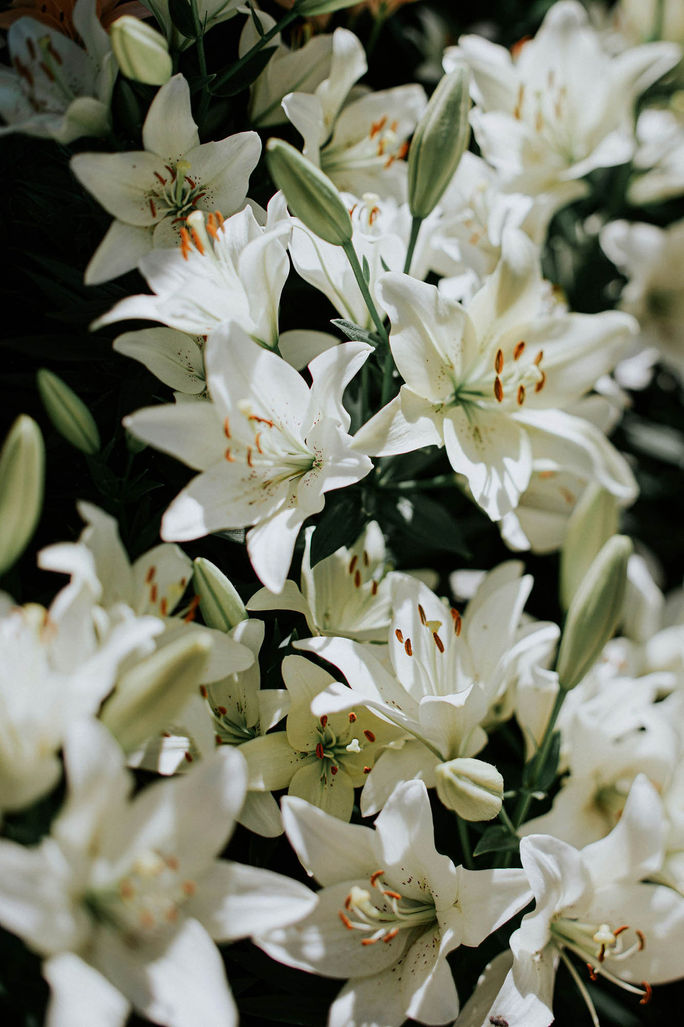 Tömning och städning av dödsbon med Trygga Flytt Tömning och städning av dödsbon med Trygga Flytt